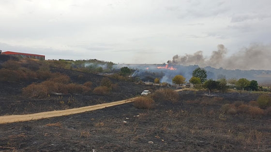 Φωτιά στην ΒΙΠΕ Ορεστιάδας - Χρειάστηκε επέμβαση από αέρος (video)