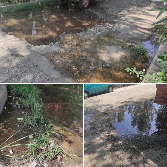 Εικόνες παραμέλησης από το Δημοτικό Κάμπινγκ Αλεξανδρούπολης.