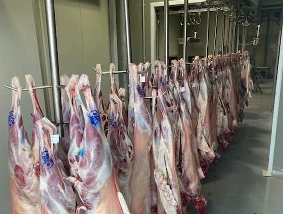 Με απόφαση της γενικής κτηνιατρικής διεύθυνσης του υπουργείου Αγροτικής Ανάπτυξης και Τροφίμων επαναλειτουργεί το σφαγείο Σαμοθράκης.