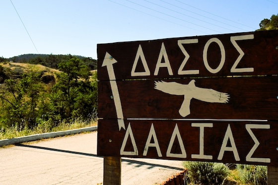 Στον τομέα της φυσικής αναγέννησης, έχουν πραγματοποιηθεί στοχευμένες αναδασώσεις με τη φύτευση 54.172 φυταρίων.