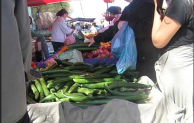 Σχετικά με την μεταφορά της συγκέντρωσης παραγωγών Σαββάτου.