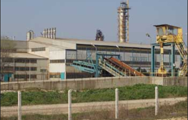 Yπάρχει μεγάλος κίνδυνος να καταστραφεί η φετινή παραγωγή.