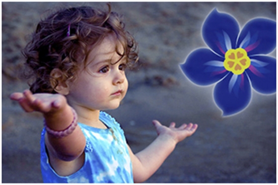 Σύμφωνα με «Το Χαμόγελο του Παιδιού», το 2014 καταγγέλθηκαν 111 περιπτώσεις εξαφανισμένων παιδιών