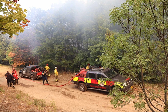 'Εβρος: 16 ημέρες στις φλόγες - Ολονύχτια μάχη στην Λευκίμμη