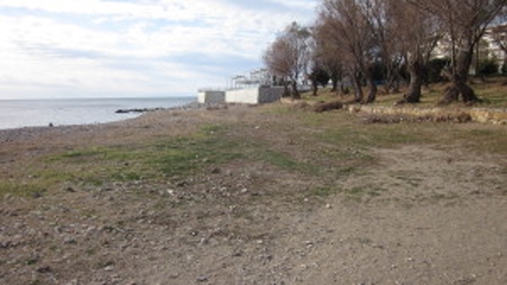 Μια ηλικιωμένη από την Αλεξανδρούπολη ήταν τελικά η γυναίκα που βρέθηκε νεκρή το πρωί του Σαββάτου.