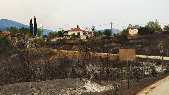 Ως ευχαριστώ για την φιλοξενία που τους πρόσφεραν πριν 59 χρόνια