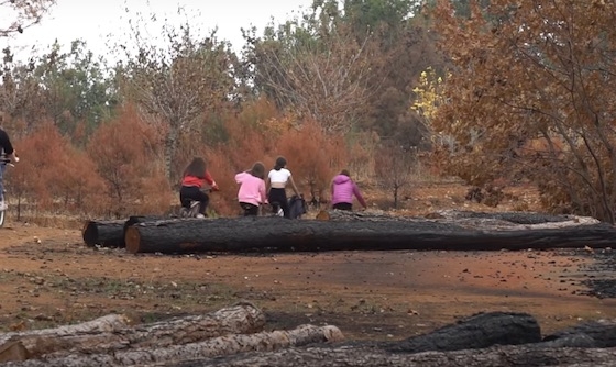 Με τα ποδήλατά τους βγήκαν στη φύση και πήραν συνεντεύξεις από κτηνοτρόφους, μελισσοκόμους και υλοτόμους. 