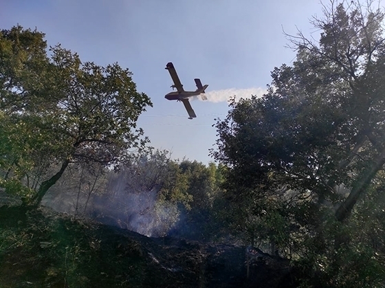 Ο δήμος Σαμοθράκης με ανακοίνωσή του απαγορεύει τη διαμονή στα δάση του νησιού.