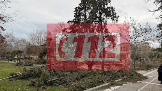 Η απουσία του προειδοποιητικού μηνύματος εγείρει ερωτήματα σχετικά με τα αντανακλαστικά του κρατικού μηχανισμού.