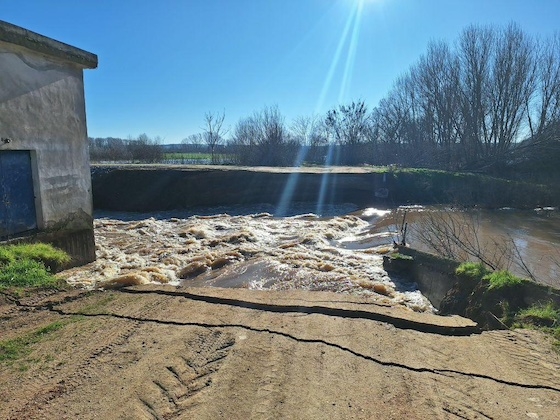 Οι αποζημιώσεις που καταβάλλει ο ΕΛΓΑ αφορούν εκτάσεις που είναι σπαρμένες και φυτρωμένες.