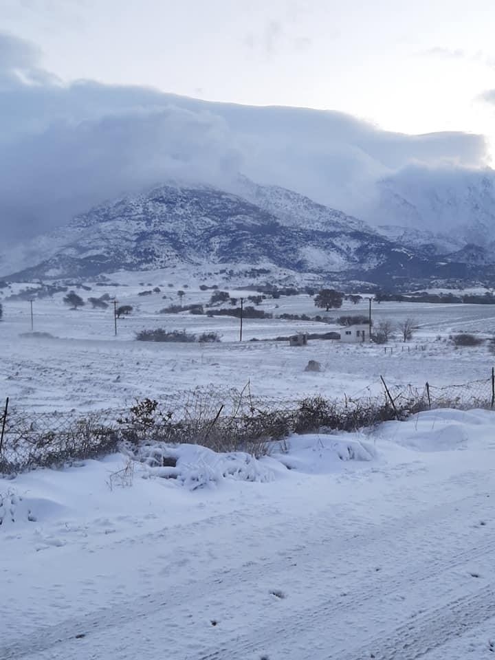 Πηγή φωτογραφίας : Νίκος Γαλατούμος 