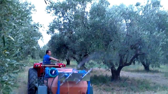 Π.Ε. Έβρου: Ψεκασμοί ελαιοδέντρων κατά του δάκου.