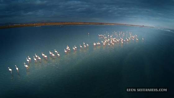 Φωτογραφία: Λεωνίδας Σεϊτανίδης