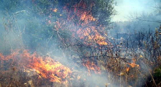 Ολονύχτια μάχη με τις φλόγες στο δήμο Σουφλίου