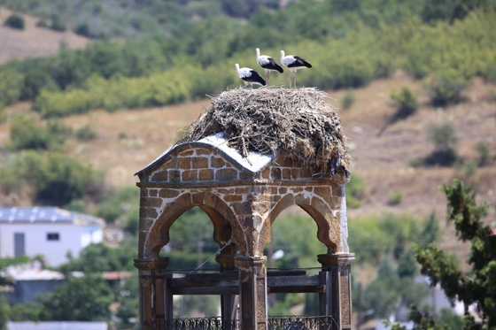 Πηγή φωτογραφίας: Φορέας Διαχείρισης Εθνικού Πάρκου Δέλτα Έβρου