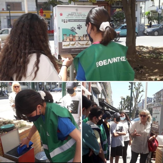 Στιγμιότυπα από τις δράσεις τους.
