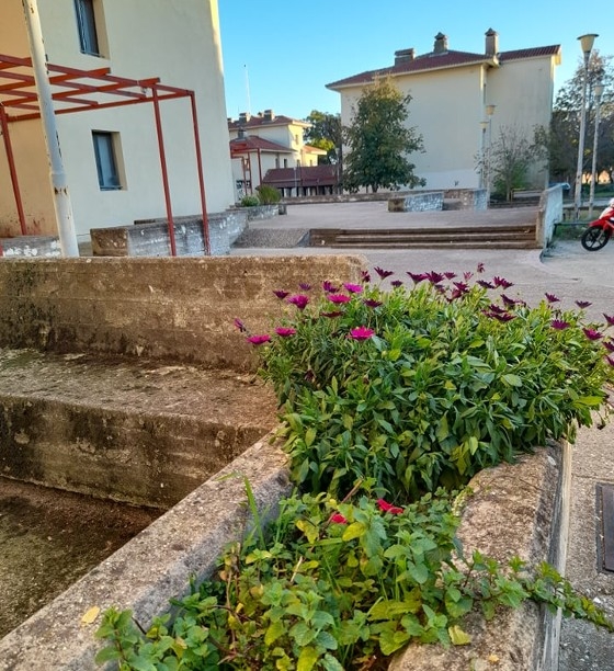 Φοιτητές του ΔΠΘ μεταφύτεψαν λουλούδια για καλό σκοπό.