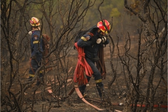 Εντός των καμένων εκτάσεων προβλέπονται για σήμερα και αύριο βροχοπτώσεις.