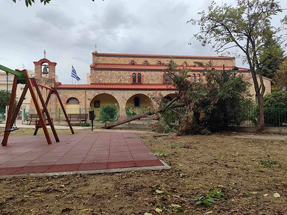 Εικόνα από τον αυλόγυρο στον Άγιο Ελευθέριο, στο κέντρο της Αλεξανδρούπολης.