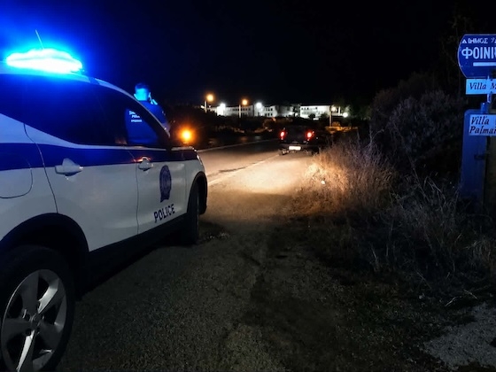 Ο οδηγός δεν μπόρεσε να αποφύγει τη σύγκρουση με ένα μικρόσωμο ζώο από την αγέλη, με αποτέλεσμα το όχημά του να υποστεί υλικές ζημιές.