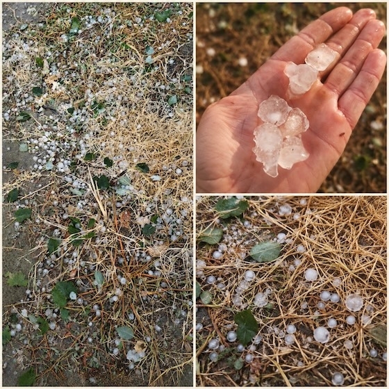 Ισχυρή χαλαζόπτωση έπληξε αγροτικές καλλιέργειες.