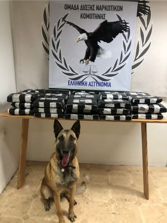 Συνελήφθησαν μέλη εγκληματικής οργάνωσης για διακίνηση μεγάλων ποσοτήτων ναρκωτικών