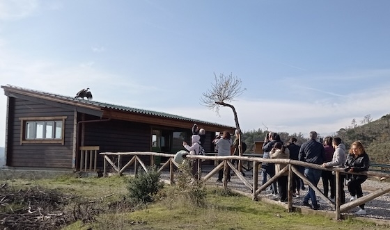 Το ένα όρνιο χάρισε στους παρευρισκόμενους μοναδικές και εντυπωσιακές πόζες, σαν να πόζαρε για μια τελευταία αναμνηστική φωτογραφία.