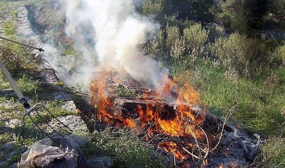 Φωτογραφία αρχείου