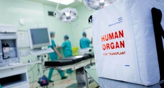 Η δωρεά της 72χρονης γυναίκας από την Αλεξανδρούπολη αποτελεί ένα φωτεινό παράδειγμα αλληλεγγύης και ανθρωπιάς