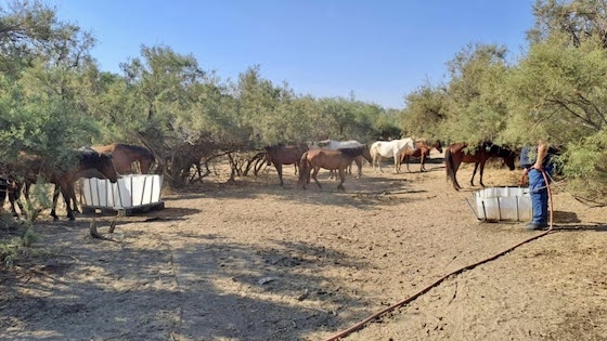 Ο Δήμος Αλεξανδρούπολης δηλώνει πως δεν έμεινε αδρανής και έχει αναλάβει πρωτοβουλίες.