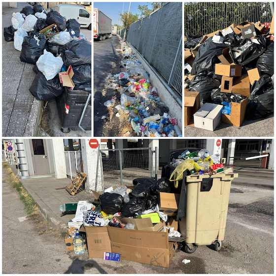 Αυτή είναι η πρώτη και η τελευταία εικόνα που αντικρίζουν οι επισκέπτες μας!