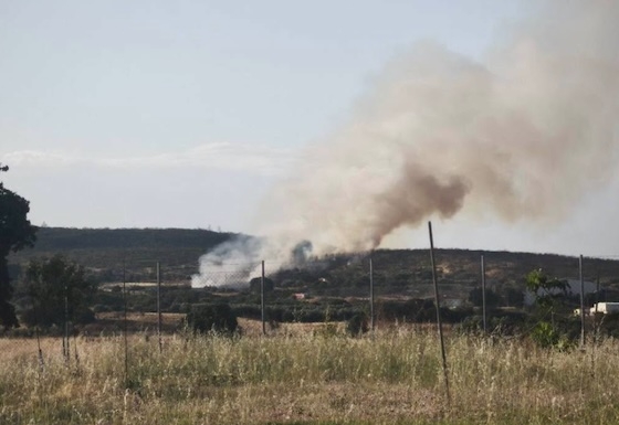 Εχθές Κυριακή εκδηλώθηκε φωτιά σε χαμηλή βλάστηση στον Άβαντα του δήμου Αλεξανδρούπολης 
