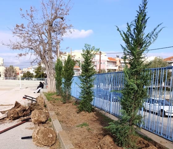 Μια 2η ευκαιρία για 50 χριστουγεννιάτικα δέντρα!