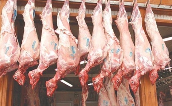 Ο συνολικός αριθμός των σφαγίων που πραγματοποιήθηκαν τις τελευταίες δύο εβδομάδες, ξεπέρασε τα 15.500 αμνοερίφια.