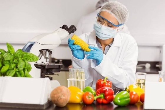 Στόχος είναι το νέο Τμήμα να μετατραπεί σε σημείο αναφοράς για την εκπαίδευση, την έρευνα και την καινοτομία, συνδέοντας την επιστήμη με την τοπική παραγωγή. 