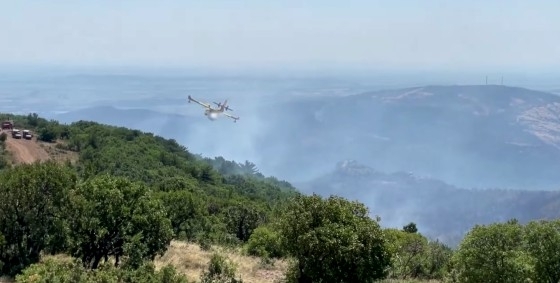 Φωτογραφία από τη φωτιά που είχε ξεσπάσει στο Δάσος της Δαδιάς - Λευκίμης - Σουφλίου.