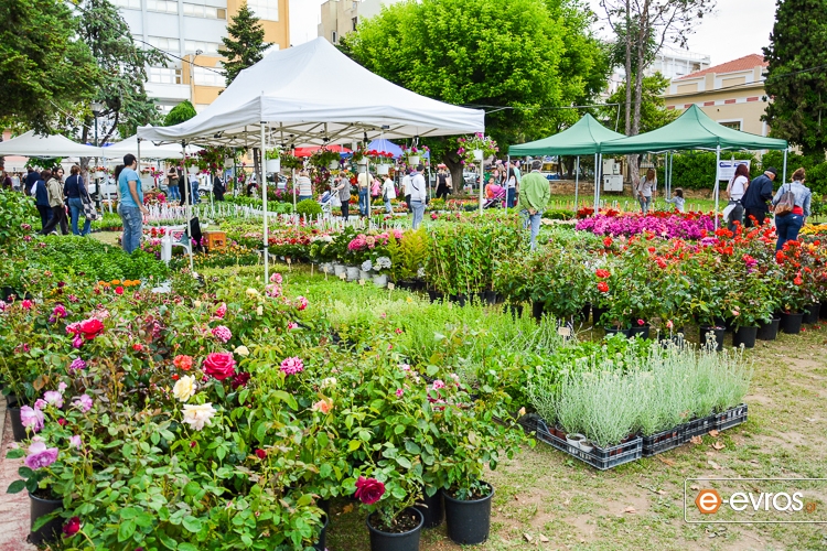 Ξεκίνησε το Hellenic Green Festival στην Αλεξανδρούπολη.