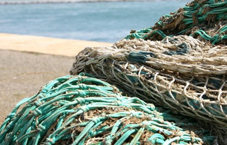 Λόγω ύπαρξης τοξικών μικροφυκών σε δείγμα θαλασσινού νερού.