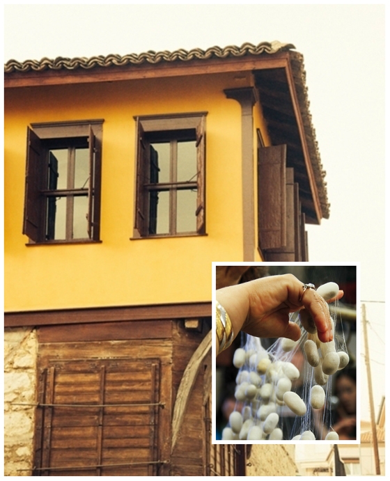 Σουφλί: Εκπαιδευτικό εργαστήρι με τίτλο «Ζώντας με και από τους μεταξοσκώληκες» στο Μουσείο Μετάξης