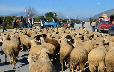 Οι δικεδικήσεις των κτηνοτρόφων.