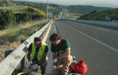 Απαιτείται η ύπαρξη αιτιώδους συνδέσμου μεταξύ της παράνομης πράξεως ή παραλείψεως του δημοσίου οργάνου και της επελθούσης ζημίας.