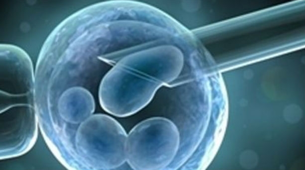 ΕΟΠΥΥ: Τι ισχύει για τη χορήγηση φαρμάκων πρόκλησης ωοθυλακιορρηξίας & εξωσωματικής