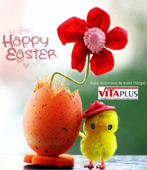 Vita Plus: Οδηγίες για σωστή διατροφή για το Μεγάλο Σάββατο και την Κυριακή του Πάσχα