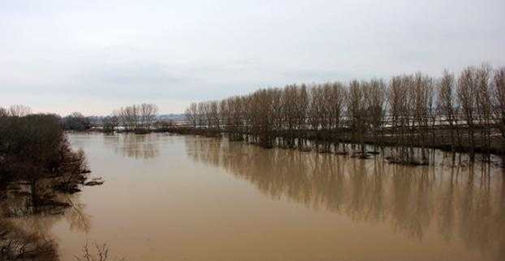 Οι υδάτινοι όγκοι του Έβρου έκαναν την εμφάνισή τους στις Φέρες