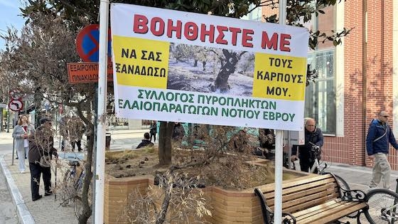 Με επιτυχία πραγματοποιήθηκε η πορεία των πυρόπληκτων ελαιοπαραγωγών στο κέντρο της Αλεξανδρούπολης.