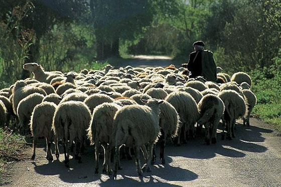 Θα κινητοποιηθεί η Αστυνομία και, ενδεχομένως, και ο Στρατός