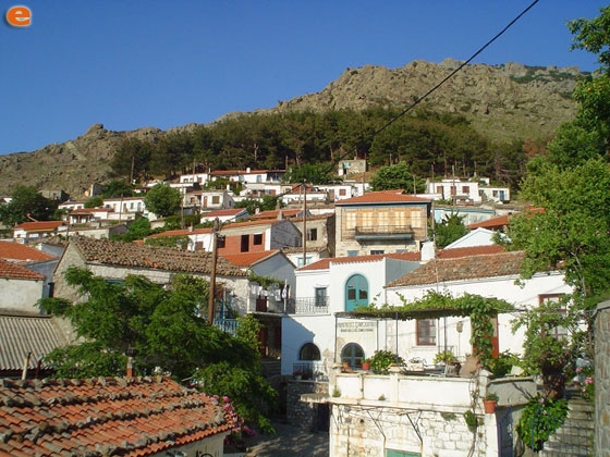 Σε αναμονή για την επίσκεψη της Διυπουργικής Επιτροπής οι φορείς στην Θράκη
