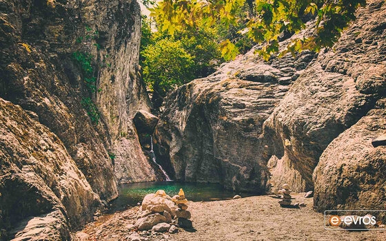 Ακούστε τους ήχους από τα δάση της Σαμοθράκης!