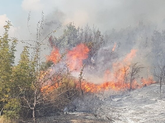 Πυρκαγιά σε δασική έκταση στη Λευκίμη Σουφλίου.