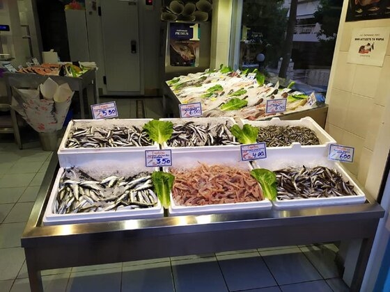 Βελόπουλος: "H Αλεξανδρούπολη είναι η μοναδική παραθαλάσσια πόλη, που δεν διαθέτει ψαραγορά"